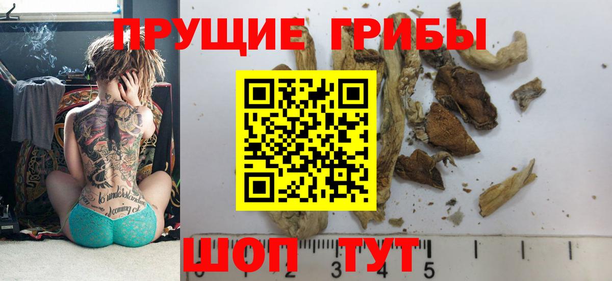 Галлюциногенные грибы мицелий Долгопрудный