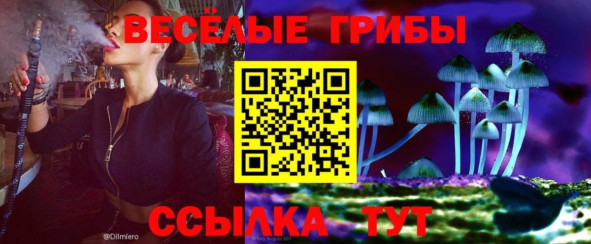 цена   Вход с VPN  Долгопрудный  Галлюциногенные грибы Cubensis 